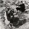 Pfahlreihen, die bei sehr niedrigem Wasserstand im Sommer 1947 von Dr. Eduard Krüger im Flussbett des Kochers vor der westlichen Haalmauer dokumentiert wurden. Krüger vermutete in den Pfählen Reste einer früh- oder hochmittelalterlichen Palisade als Vorläufer der Stadtmauer, es könnte sich aber auch um Reste einer Uferbefestigung handeln. Foto: Eduard Krüger (StadtA Schwäb. Hall FS 08423)