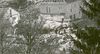 Teils durch Bäume verdeckte Trümmerfläche des total zerstörten Anwesens nach dem US-Luftangriff vom 23. Februar 1945 (StadtA SHA FS 38466)