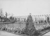 Rosengarten, ca. 1905-1910. Mit Hilfe dieser Fotografie konnte 1986 der ursprüngliche Zustand wieder hergestellt werden Die Pergola aus Betonwerksteinen existiert heute noch unverändert. Fotograf: unbekannt (Privatbesitz)