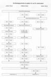 Besitzgeschichte des Hauses im späten 18. und 19. Jahrhundert (Grafik: StadtA Schwäb. Hall)