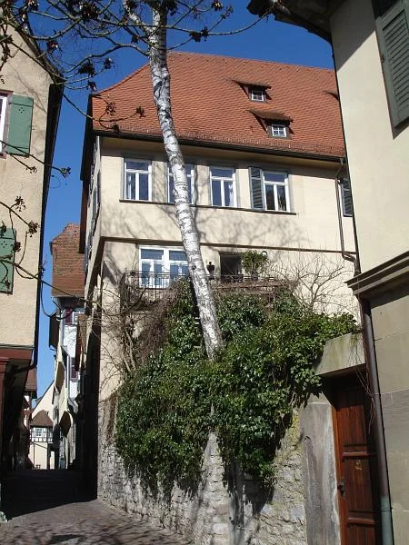 Bild von 2007. Foto: Daniel Stihler (StadtA SHA Server Häuserlexikon)