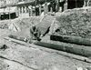 Dr. Emil Kost untersucht einen Bohrkern, 1951. Foto: unbek. (StadtA Schwäb. Hall HV-F 0766)