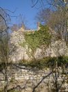 Rest eines in der Hauptburg über dem ersten, westlichen Keller gelegenen Wohngebäudes mit wohl aus dem 15./16. Jahrhundert stammenden Fenstergewände. Unterhalb befindet sich eine Böschungsmauer des Burghügels. Von unterhalb (Vorburg) aus gesehen. Bild aus dem April 2007. Foto: Daniel Stihler (StadtA Schwäb. Hall DIG 04316)