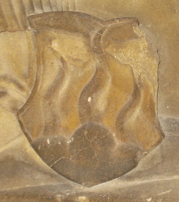 Wappen Halberger