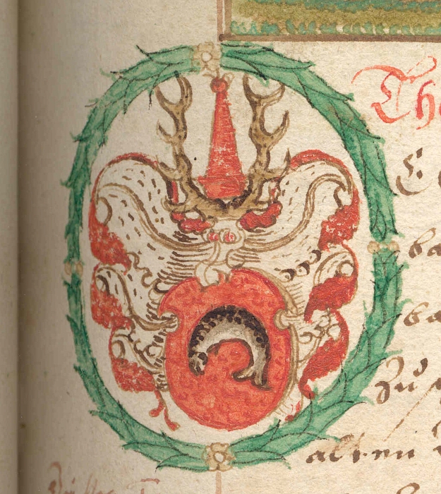 Wappen Tann