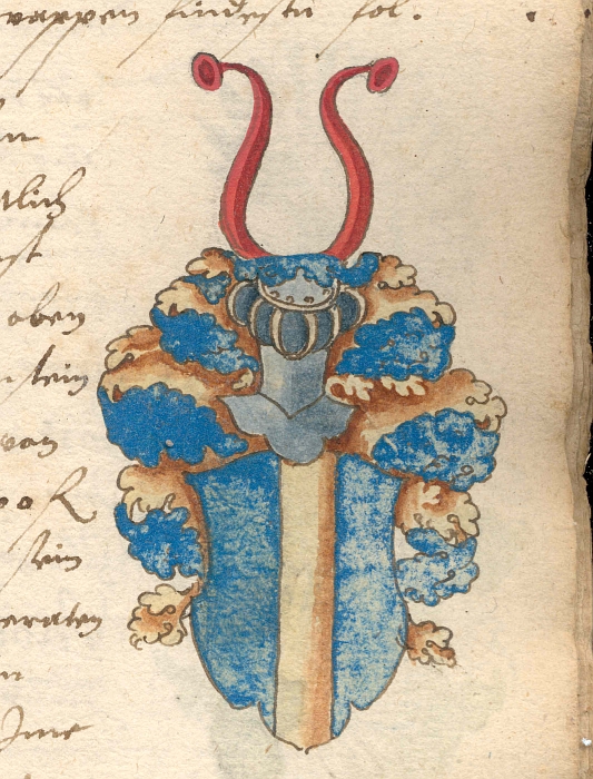 Wappen Bachenstein
